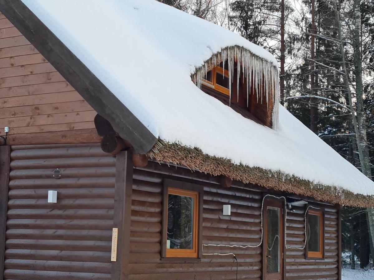 Pirts Maja Ramatas Villa Skulte  Exterior photo
